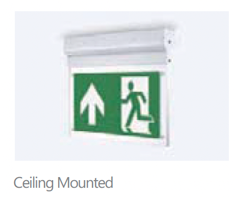 EUREKA B216 - Image 6